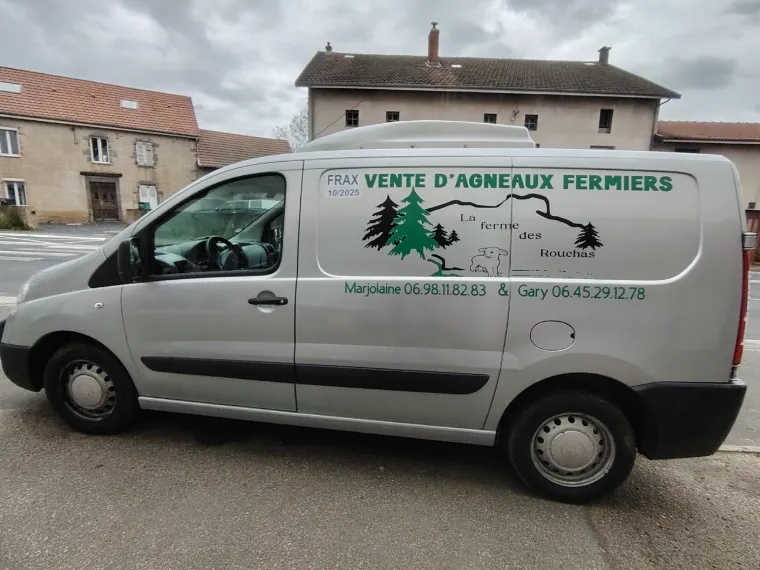 Vinyle sur véhicule professionnelle